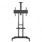 M Public Floorstand Basic 180 with Shelf & Camera Holder